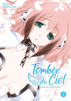 Tombée du ciel, tome 1