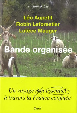 Bande organisée