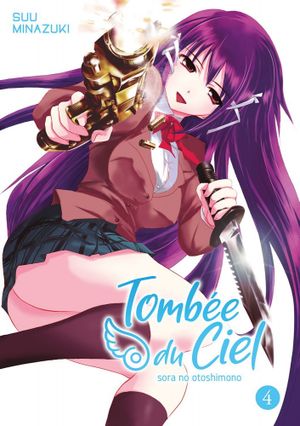 Tombée du ciel, tome 4