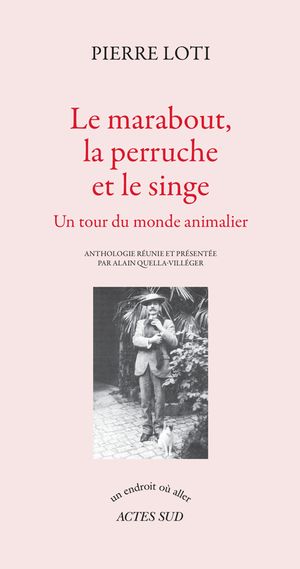 Le Marabout, la perruche et le singe