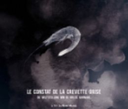 image-https://media.senscritique.com/media/000020344592/0/le_constat_de_la_crevette_grise.jpg