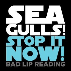 Seagulls! (Stop It Now!) (Single)