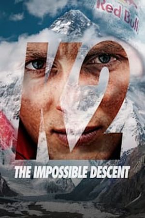 K2 : The Impossible Descent