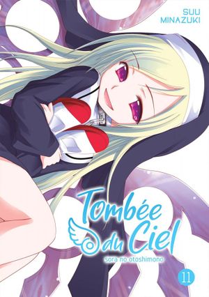 Tombée du ciel, tome 11