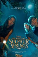 Affiche Les Secrets de Sulphur Spring