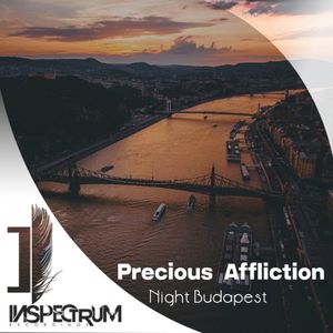 Night Budapest (Single)