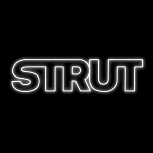 Strut (Single)