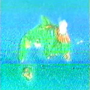 完璧な楽園
