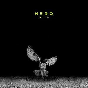 Wild (Single)