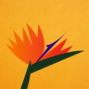 Birds of Paradise EP (EP)