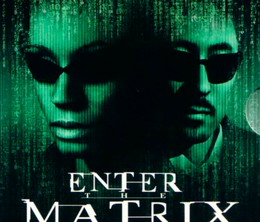 image-https://media.senscritique.com/media/000020366923/0/enter_the_matrix.png