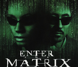 image-https://media.senscritique.com/media/000020366926/0/enter_the_matrix.png