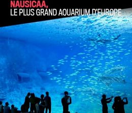 image-https://media.senscritique.com/media/000020367680/0/nausicaa_le_plus_grand_aquarium_d_europe.jpg