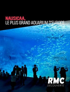Nausicaa - Le plus grand aquarium d'Europe