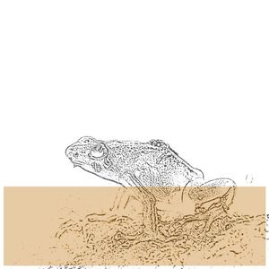 [untitled]