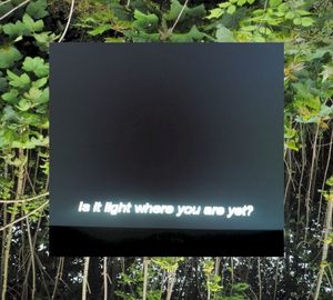 The Test Dream