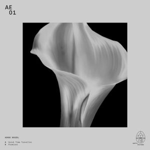 AE-01 (Single)