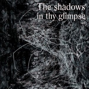 The Shadows in Thy Glimpse: Bedouin Records Selected Discography 2016–2018