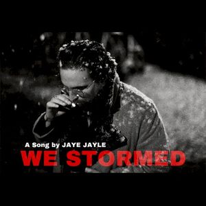 We Stormed (Single)