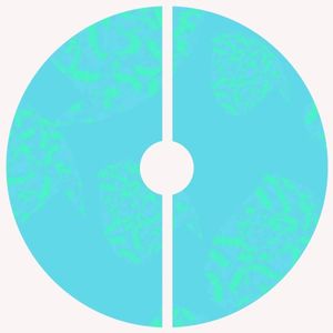 Decade Ingrown EP (EP)