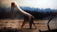 When Pterosaurs Walked