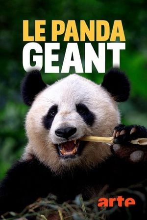 Le Panda géant