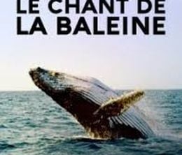 image-https://media.senscritique.com/media/000020375631/0/le_chant_de_la_baleine.jpg