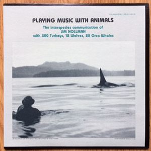 Playing Music With Animals: The Interspecies Communication of Jim Nollman With 300 Turkeys, 12 Wolves, 20 Orca Whales