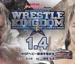 image-https://media.senscritique.com/media/000020383773/0/njpw_wrestle_kingdom_13.jpg