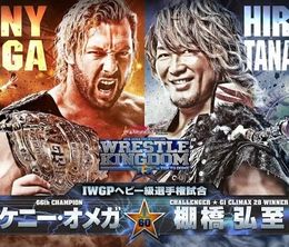 image-https://media.senscritique.com/media/000020383774/0/njpw_wrestle_kingdom_13.jpg