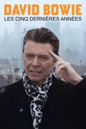 David Bowie - Les cinq dernières années