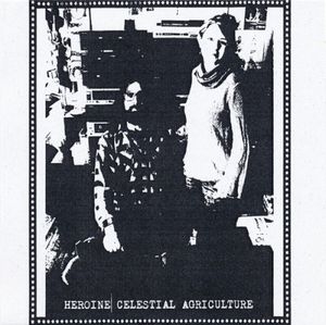 Red Head Transistor (Live)