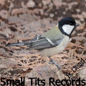 Small Tits Records Is Dead (RIP)