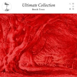 Ultimate_Collection “'beech trees'”