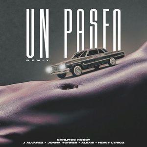 Un paseo (remix)