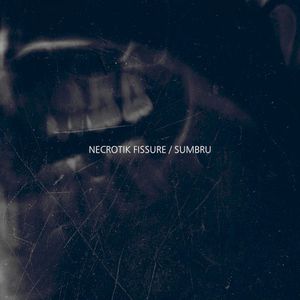 Necrotik Fissure / Sumbru
