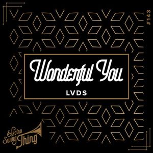 Wonderful You (Single)