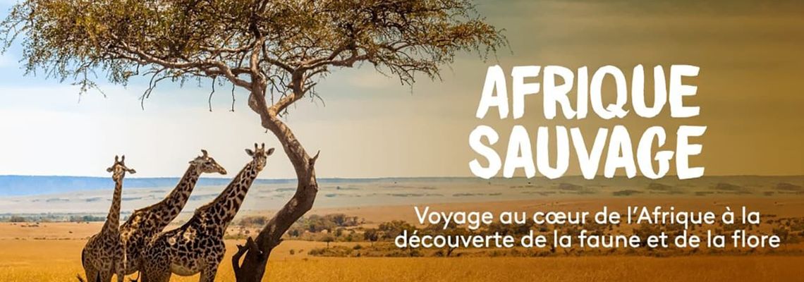 Cover Afrique sauvage