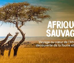image-https://media.senscritique.com/media/000020396177/0/afrique_sauvage.jpg