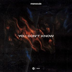 You Don’t Know (Single)