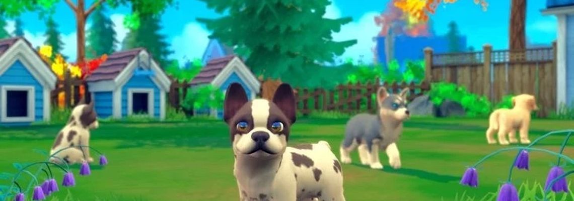 Cover My Universe: My Baby - Chiens & Chats