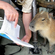 Avatar JoggingCapybara Avatar JoggingCapybara