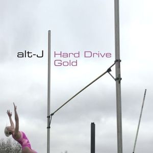Hard Drive Gold (Single)
