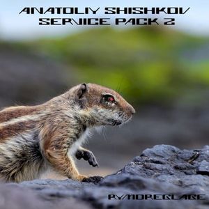 Anatoliy Shishkov - Service Pack 2 (EP)
