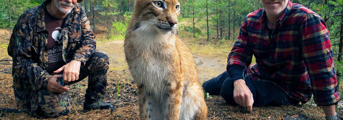 Cover Les Bébés lynx et moi