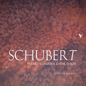 Piano Sonatas, D 894, D 625