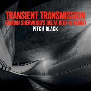 Transient Transmission (Adrian Sherwood’s Delta B(0)=B remix) (Single)