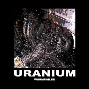 Wormboiler