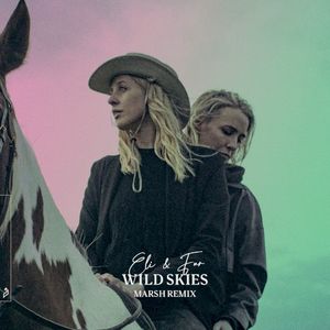 Wild Skies (Marsh remix)