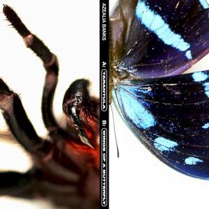 Tarantula / Wings of a Butterfly (Single)